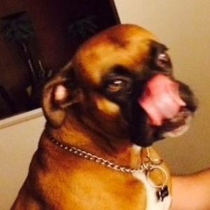 Meet your Posher, Lea